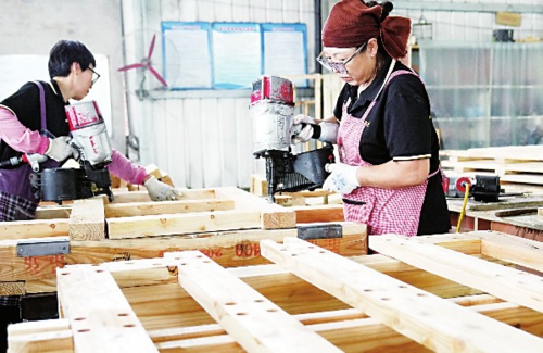 近年來,河北省唐山市豐南區積極引導勞動密集型企業進農村,建設鄉村就業工廠或車間,帶動當地群眾在家門口就業,實現“顧家、增收”兩不誤。圖為工人在一家木質包裝產品企業的生產車間工作。新華社