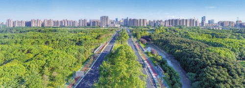 奉賢城市風貌。上海奉賢融媒體中心/供圖