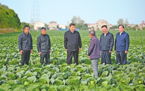 11月4日至6日,中共中央總書記、國家主席、中央軍委主席習近平在湖北考察。這是5日上午,習近平在咸寧市嘉魚縣潘家灣鎮十里蔬菜長廊考察時,同菜農親切交流。新華社記者燕雁/攝